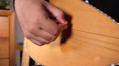 stringed musical instrument, musician plays oriental stringed musical instrument