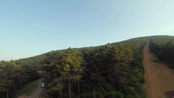 Pine Trees Aerial Shot Flight Green Pine Trees Blue Sky — Video Stock