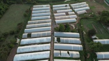 greenhauses, aerial vegetable and fruit greenhauses in field