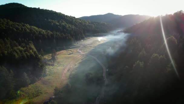 Aerial Shot Foggy Plateau Pine Forest Sunrise — Stok video
