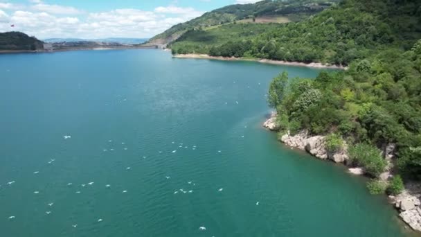 Lake Birds Aerial Lake Seagull Birds — Vídeo de Stock