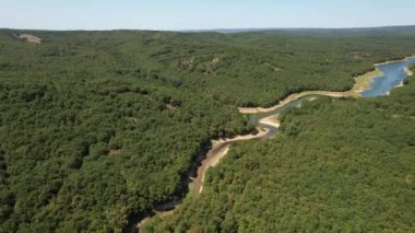 forest and river, green forest and river drone top view