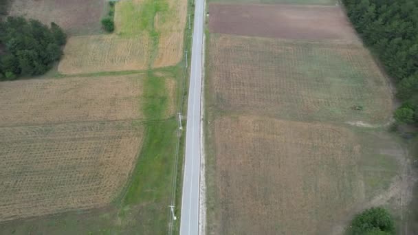 Farmland Aerial Rural Farmland Empty Road — Αρχείο Βίντεο