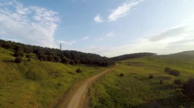  dirt road, aerial dirt road between green meadows and forest