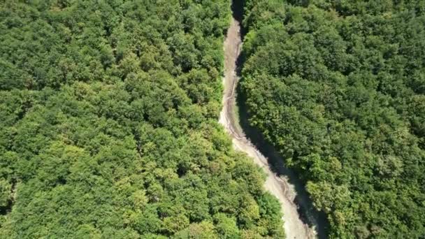 Forest Aerial Forest Dried River — Stockvideo