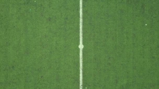 Aerial Shot Green Grass Soccer Field — Stockvideo