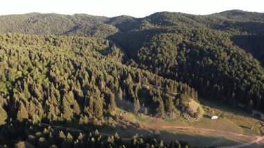  forest and mountain, aerial green forest and mountain