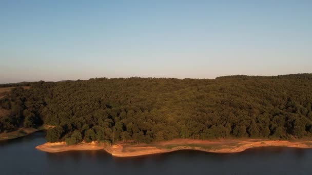 Lake Forest Aerial Blue Lake Green Forest — Video Stock