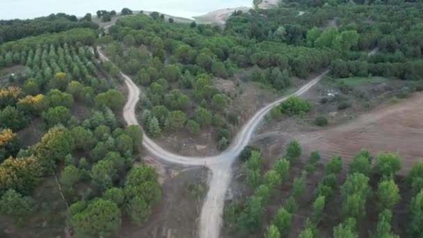 Forest Road Aerial Green Forest Road – Stock-video
