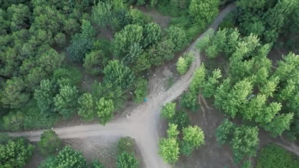 Green Forest Aerial Green Forest Road — Stockvideo