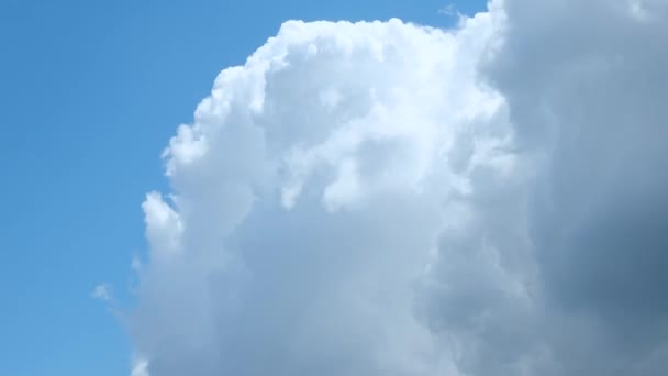 Clouds Pluffy White Clouds Time Lapse — Stok video