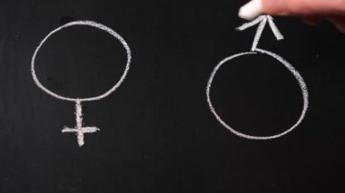 female and male symbols, female, male symbols and equality theme on blackboard