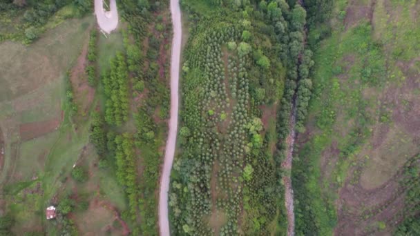 Aerial Mountain Road Bends — Stock videók