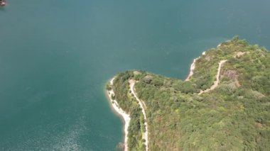 lake and forest, aerial blue lake and green forest