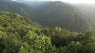 forest and valley, aerial green forest and valley, nature