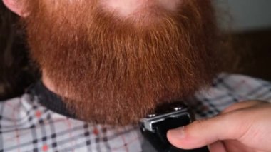 barber styling beard, barber styling beard of man with red beard