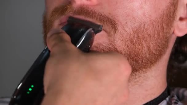 Trims Red Mustache Barber Trims Red Bearded Mans Mustache — Video Stock