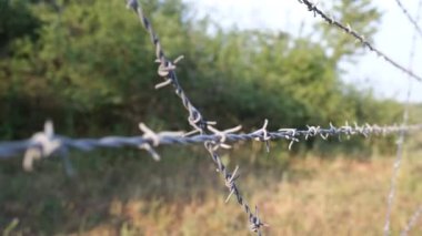 barbed wire, barbed wire close up shot, forbidden zone