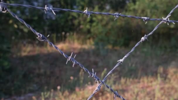 Barbed Wire Barbed Wire Close Forbidden Zone — Vídeos de Stock