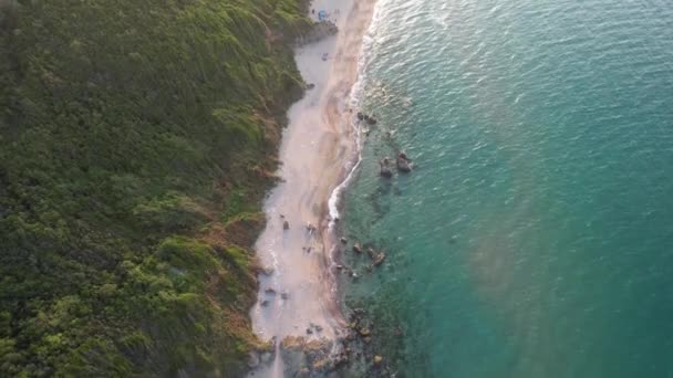 Tropical Beach Aerial Tropical Beach Rainforest — 图库视频影像