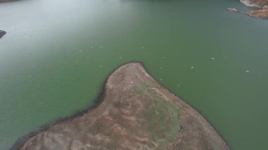 birds fly, aerial birds fly on lake, nature