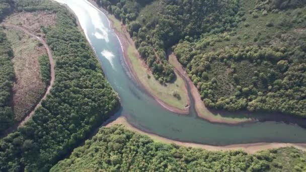 Rio Rio Aéreo Floresta Verde Natureza — Vídeo de Stock