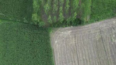 tarımsal alan, hava tarımı alanı ve ekin tarlası, kavak ağacı