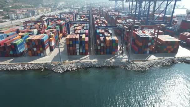 Container Port Aerial Cargo Container Port Cranes — Stock Video
