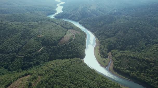 Річка Ліс Повітряна Річка Ліс Туреччині — стокове відео