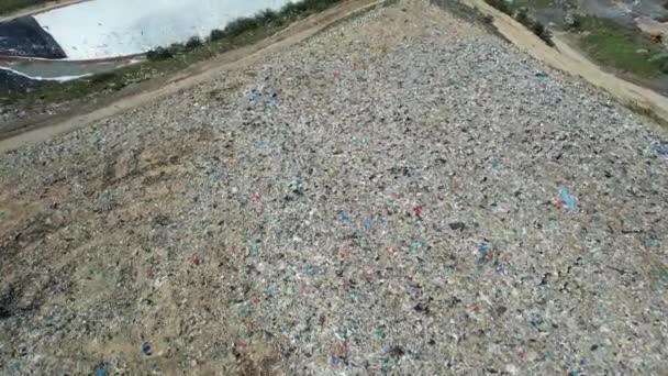 Discarica Discarica Aerea Della Città Gabbiani Che Nutrono — Video Stock