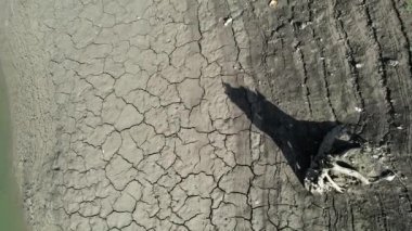 Kurumuş göl, havadan kurumuş göl tabanı ve kütük, kuraklık.