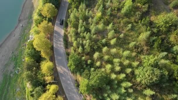 Bosweg Luchtbosweg Zwarte Auto Natuurpark — Stockvideo