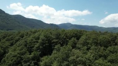 Orman dağları, orman dağları ve mavi gökyüzü.