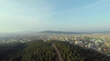 Çam Ormanı, Çam Ormanı ve Şehir