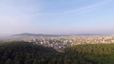 Şehir ve orman, hava şehri ve yeşil çam ormanı.