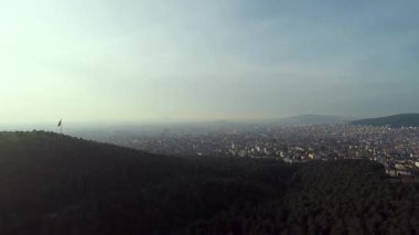 Orman ve şehir, hava yeşili çam ormanı ve şehir