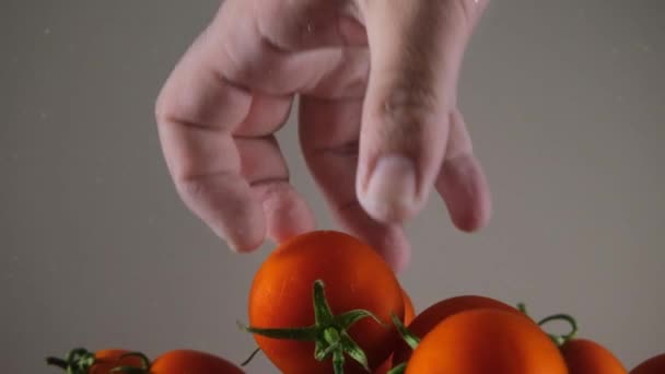 Sacar Verduras Del Agua Imágenes Cámara Lenta Verduras Chef Tomates — Vídeo de stock