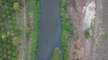 Martılar, uçan ve akıntıda yüzen martılar.