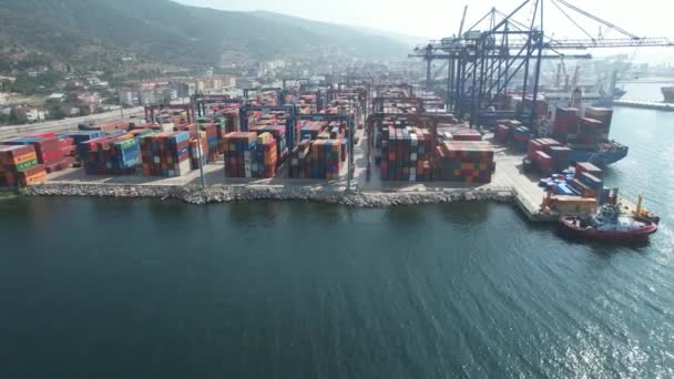 Container Containerschiffsterminal Und Kran — Stockvideo