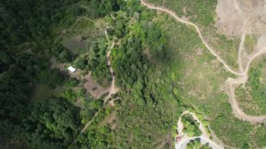 Yol, hava yolu ve yeşil ağaçlar.