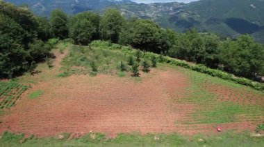 Dağ İçi Bahçesi, Hava Çekimi, Yeşil Ağaçlar, Uzak Dağlar, Hava Çekimi