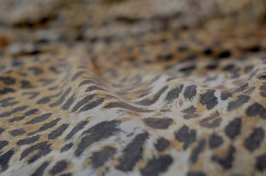 Leopar desenli kumaş arka plan, seçici odaklı buruşuk kumaş, kumaş arkaplan