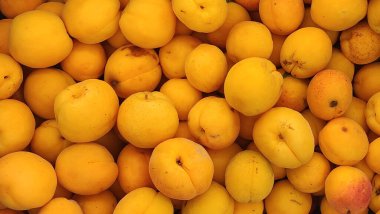 Parlak turuncu kayısılar, böğürtlenlerin üst görüntüsü, kayısı arka planı, yiyeceğin arka planı, kayısı yığını.