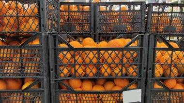 Bir kutuda mandalina, mandalina hasadı, turunçgiller, meyve yığını, pazarda mandalina, metin için yer. 