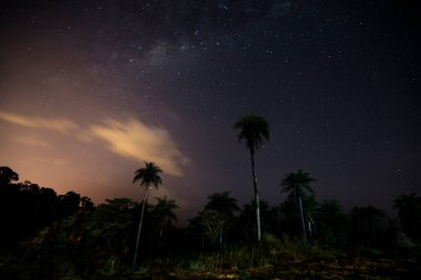 Geceleri gökyüzü ve San Ignacio, Misiones, Arjantin 'de bazı yıldızlar ve bulutlar olan üç palmiye ağacı. Litoral argentino.