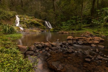 Arjantin 'in Misiones kentindeki yağmur ormanları arasında El Soberbio' da su damlası var.