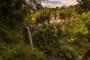 Salto Encantado Ulusal Parkı 'nda, Aristobulo del Valle, Misiones, Arjantin' deki orman ormanı arasında Salto Encantado (büyülü atlama) adı.