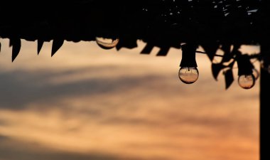 Öğleden sonra Tigre, Buenos Aires 'in arka planında turuncu ya da pembe gökyüzü olan şeffaf bir ampul. Boşluğu olan duvar kağıdı.