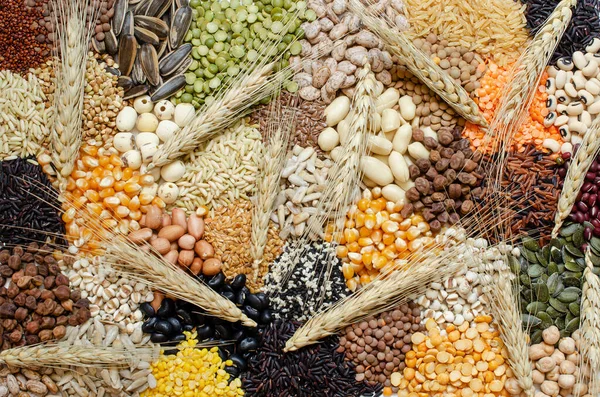 Ποικιλία Ειδών Φυσικών Δημητριακών Και Σπόρων Προς Σπορά Ξηρά Αυτιά — Φωτογραφία Αρχείου