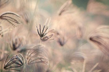 Kapalı lezzetli çilekli pasta ahududu soslu ve meyveli. Kafeteryadaki cam masada beyaz plastik kutuda turuncu pasta.